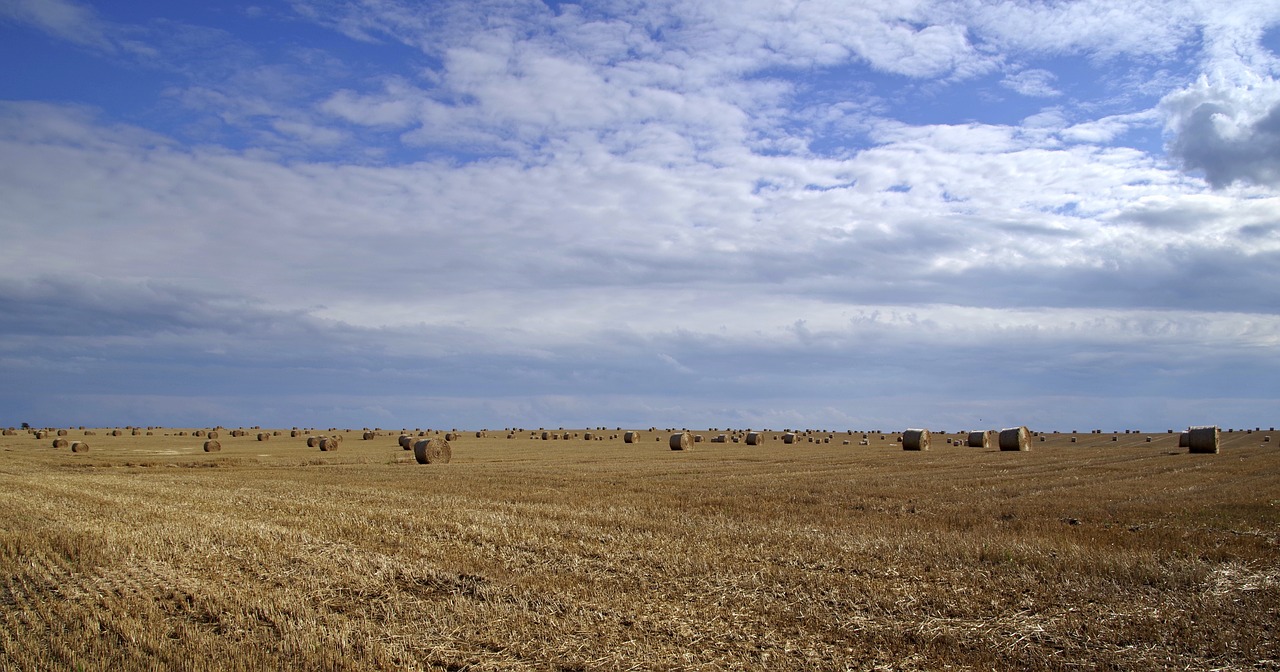 Image - harvest harvest festival stubble