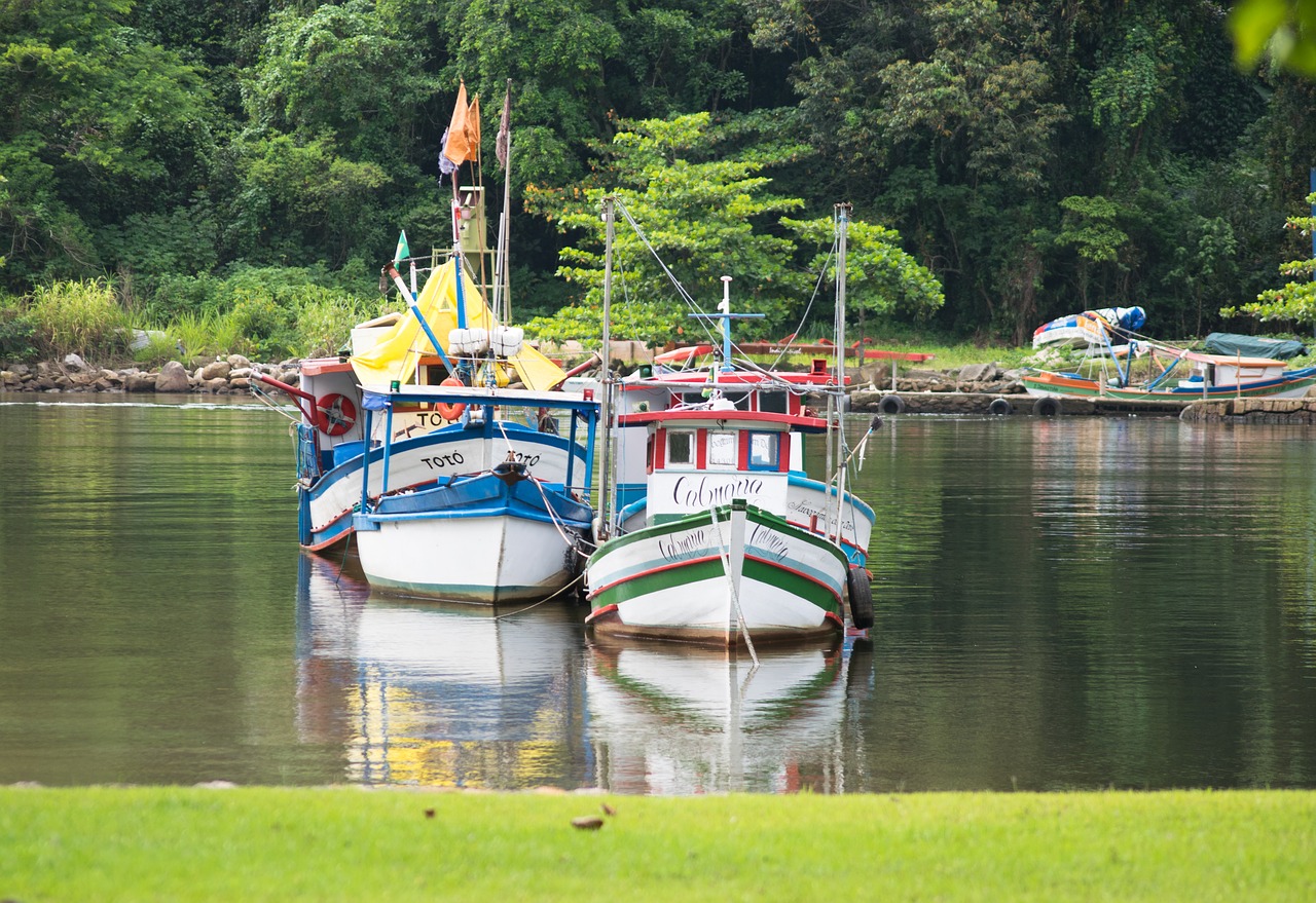 Image - boats grass green colourful brasil