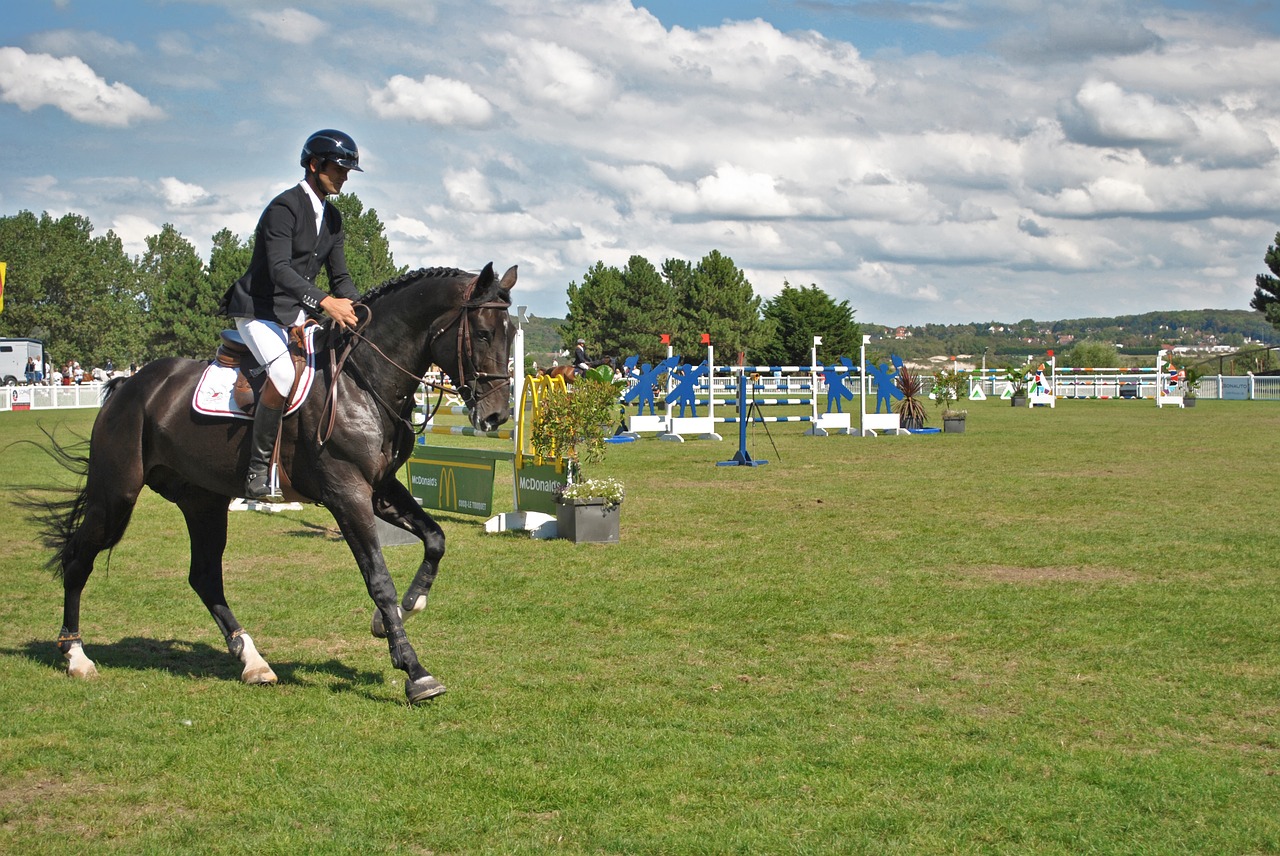 Image - ipodrom horse rider races france