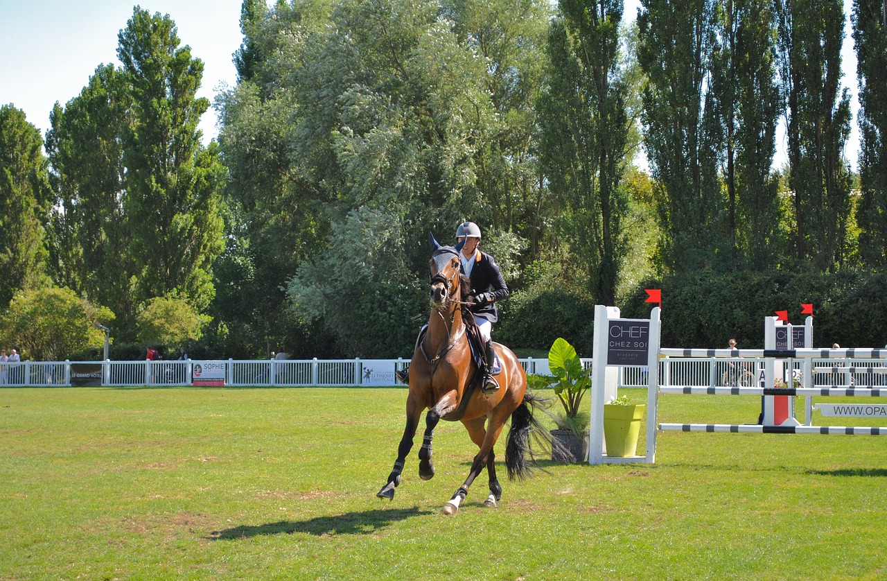 Image - ipodrom horse rider races france