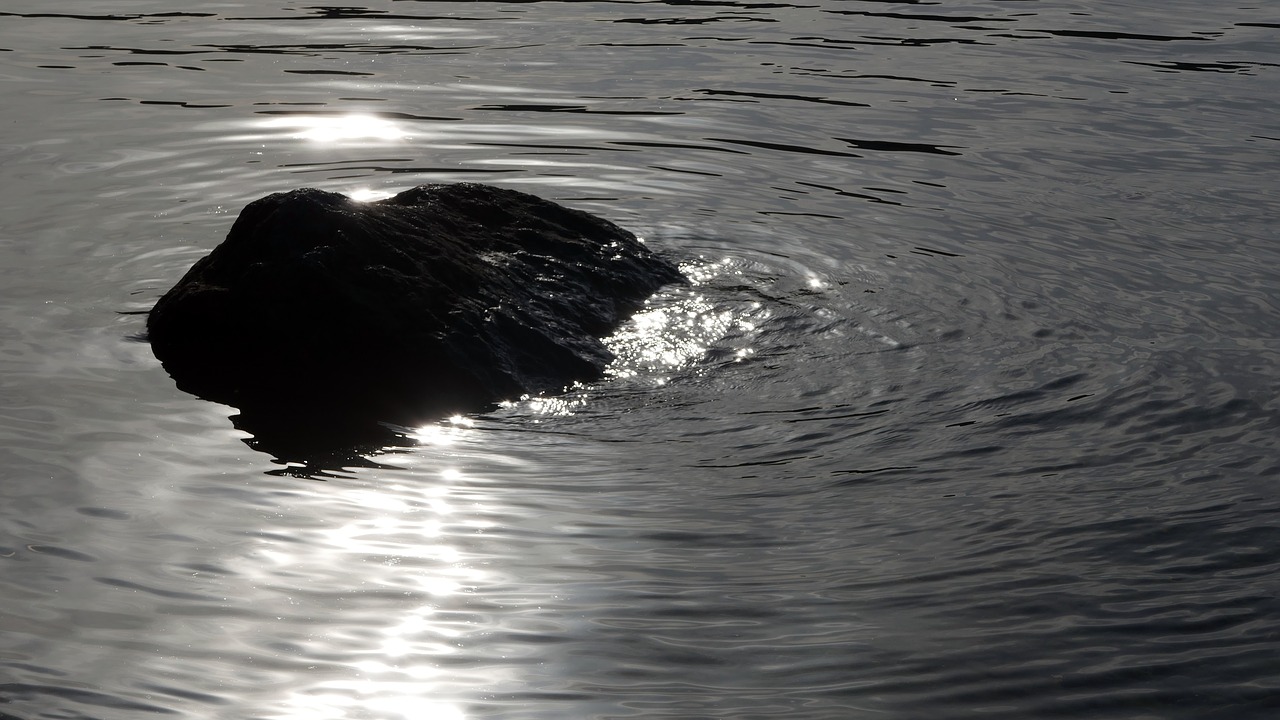 Image - water black and white reflections