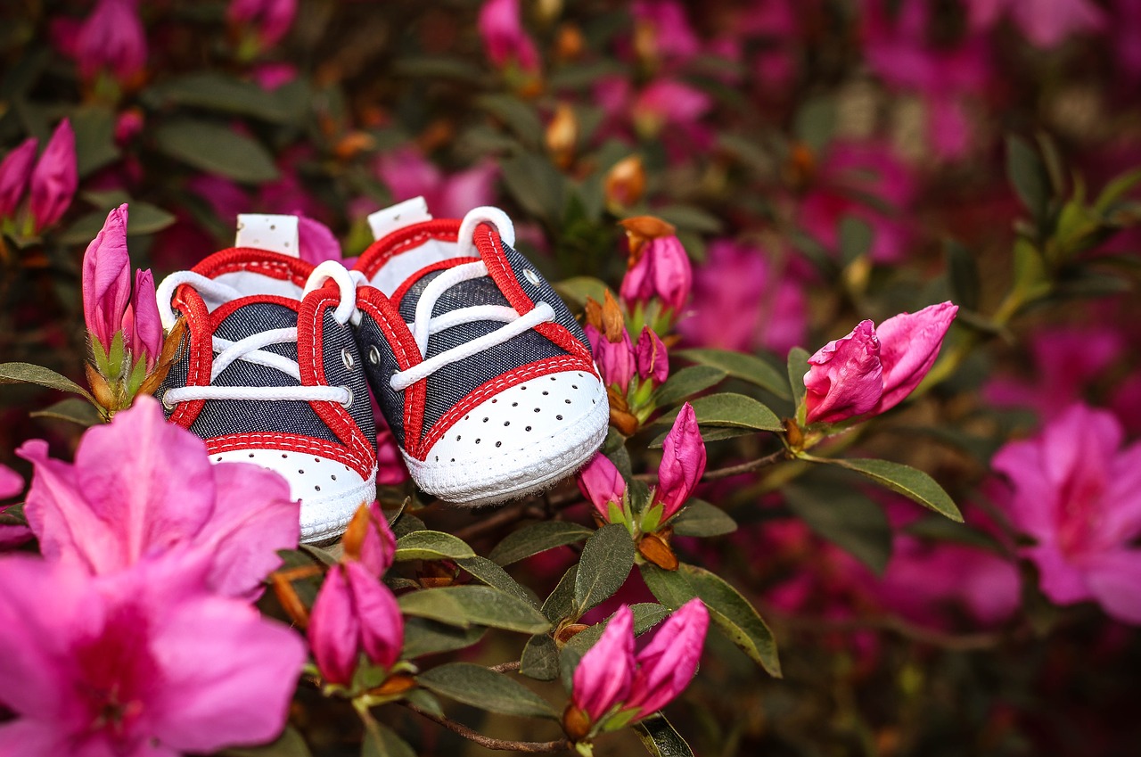 Image - pregnant woman slipper spring boy