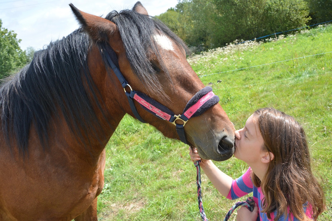 Image - kiss horse girl woman head