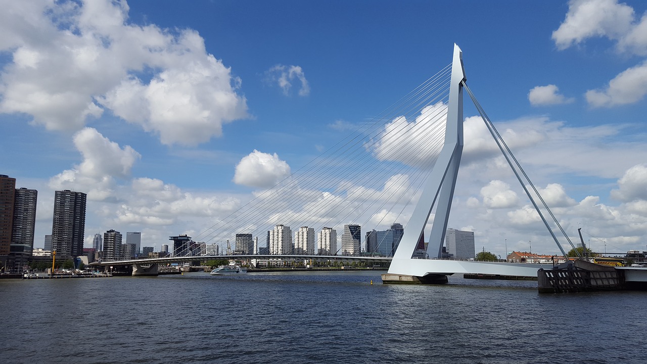 Image - rotterdam bridge architecture