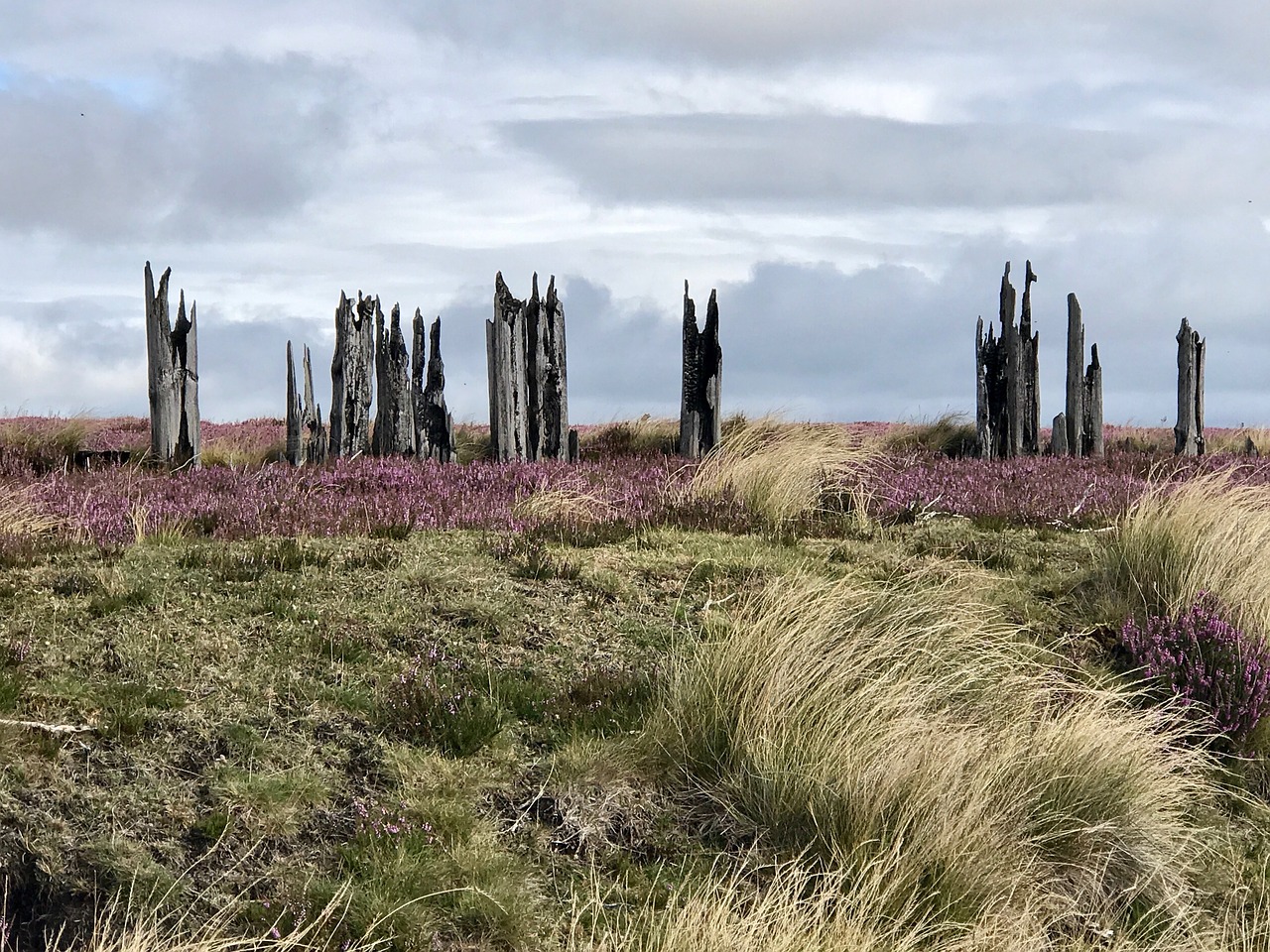 Image - ruin grass moorland