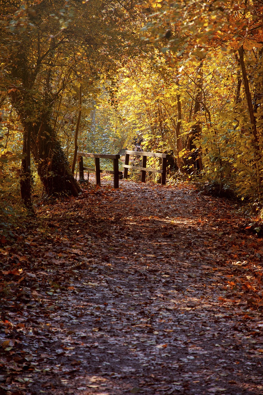 Image - autumn heilbronn baden württemberg