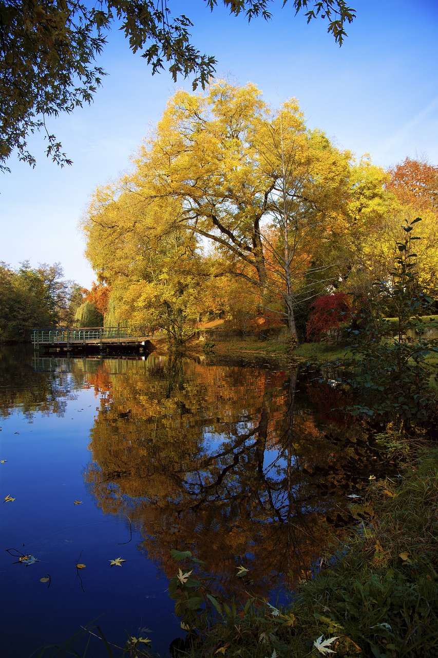 Image - autumn heilbronn pfühlpark