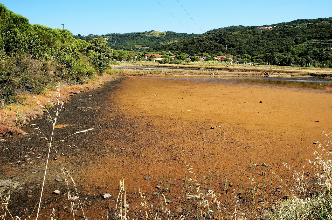 Image - salina evaporation of salt sea salt
