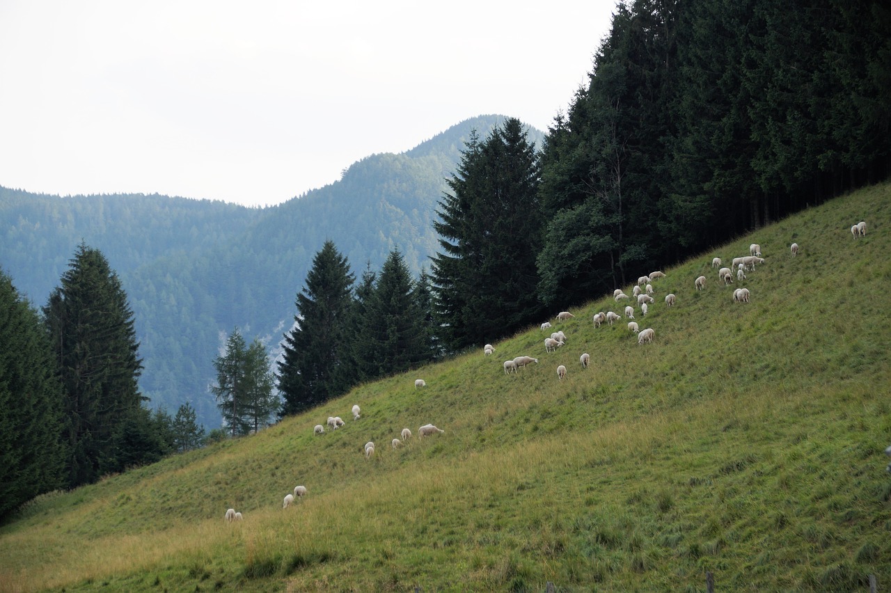 Image - slovenia julian alps mountains