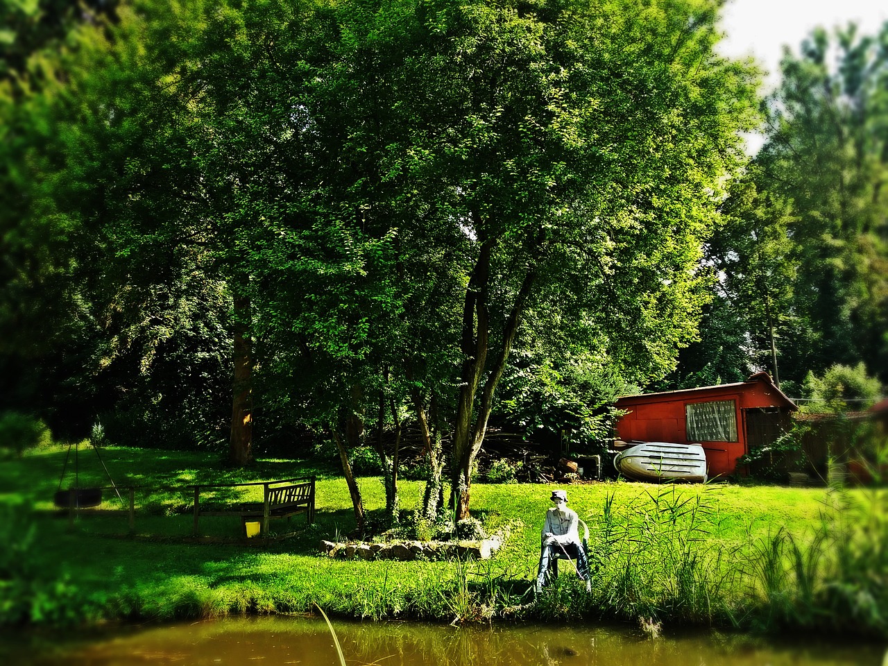 Image - nature angler figure pond tree