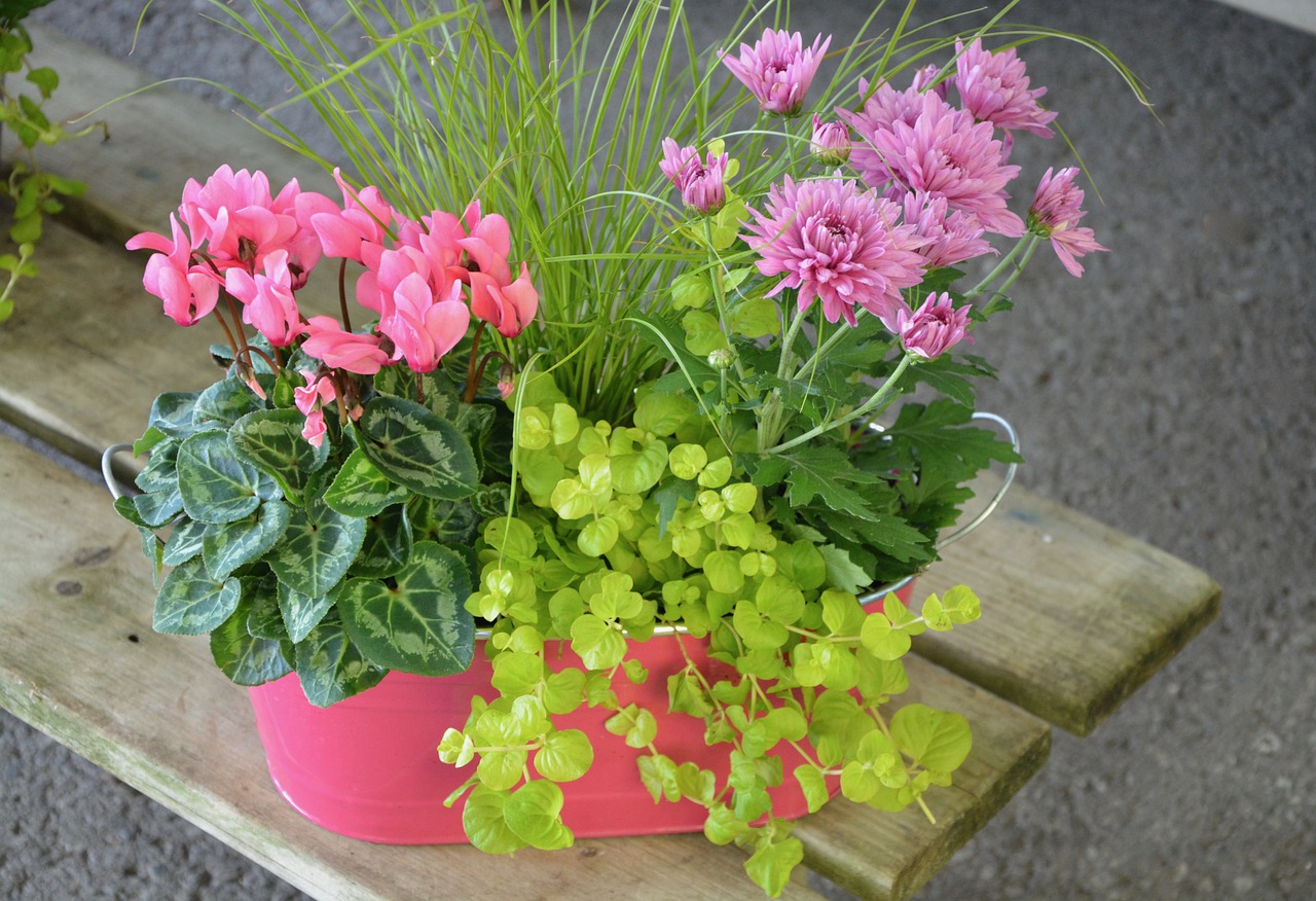 Image - pink flowers green leaves