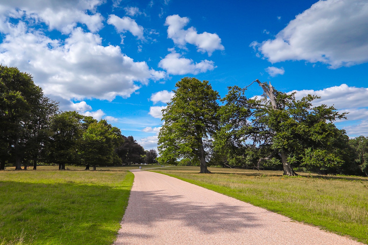 Image - windsor gardens park nature forest