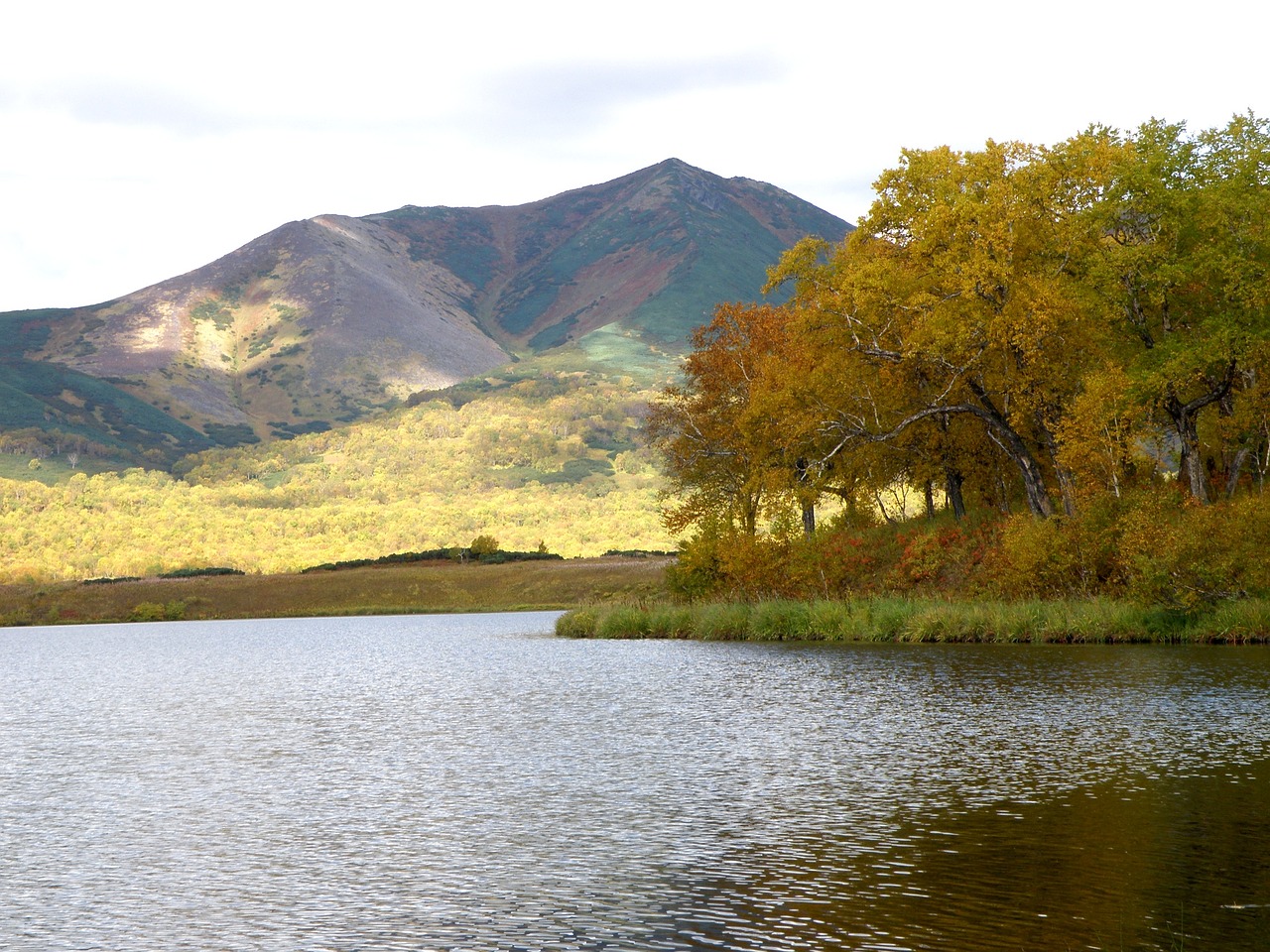 Image - lake mountains tundra river forest