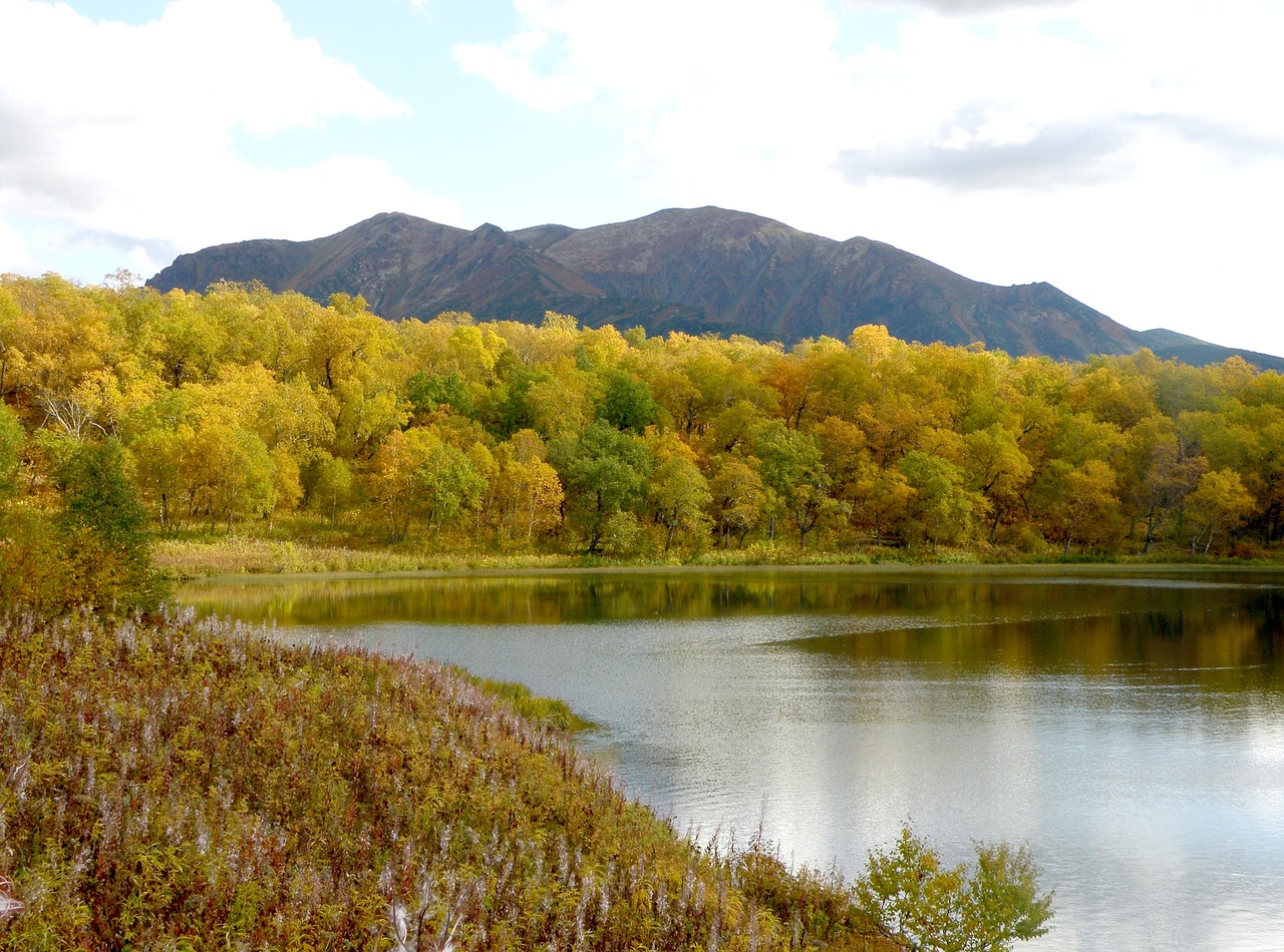 Image - lake mountains tundra river forest