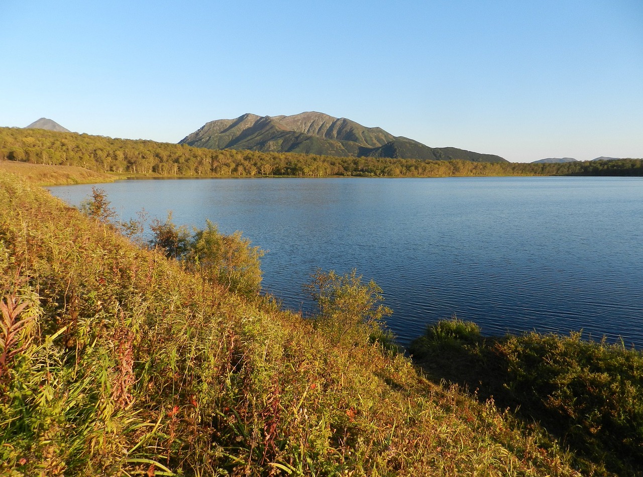 Image - lake mountains forest greens birch