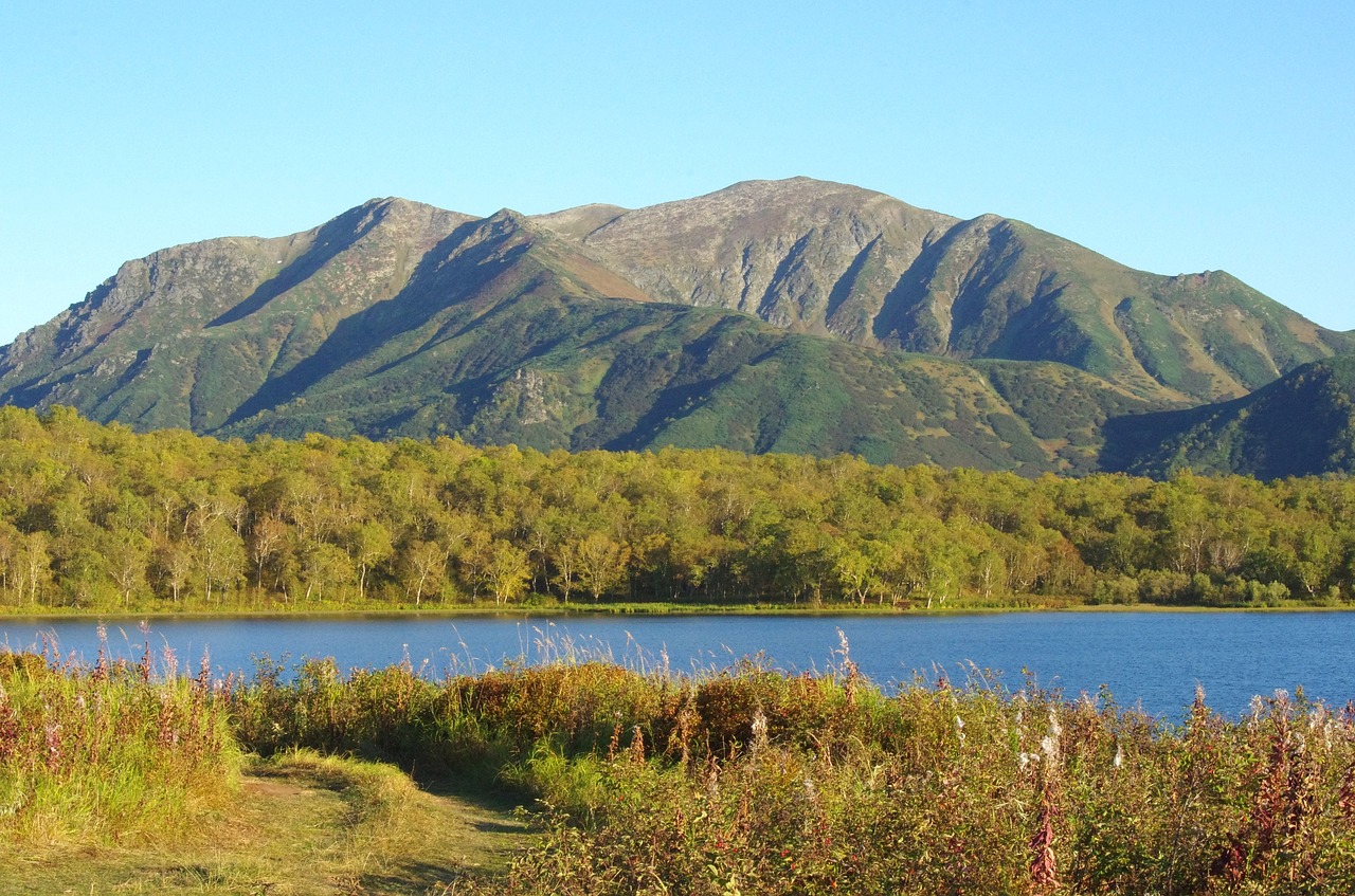 Image - lake mountains forest greens birch