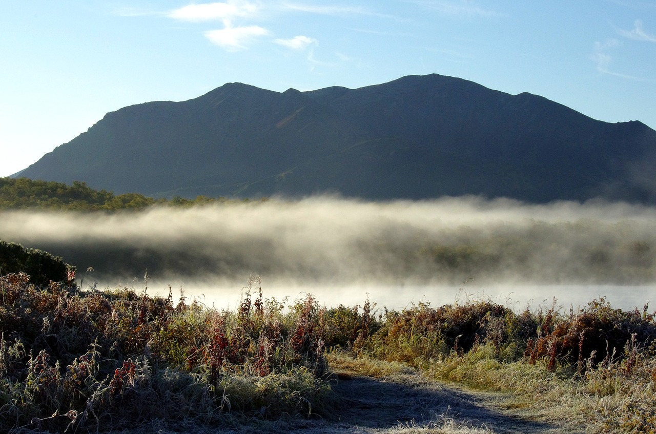 Image - lake mountains morning fog forest