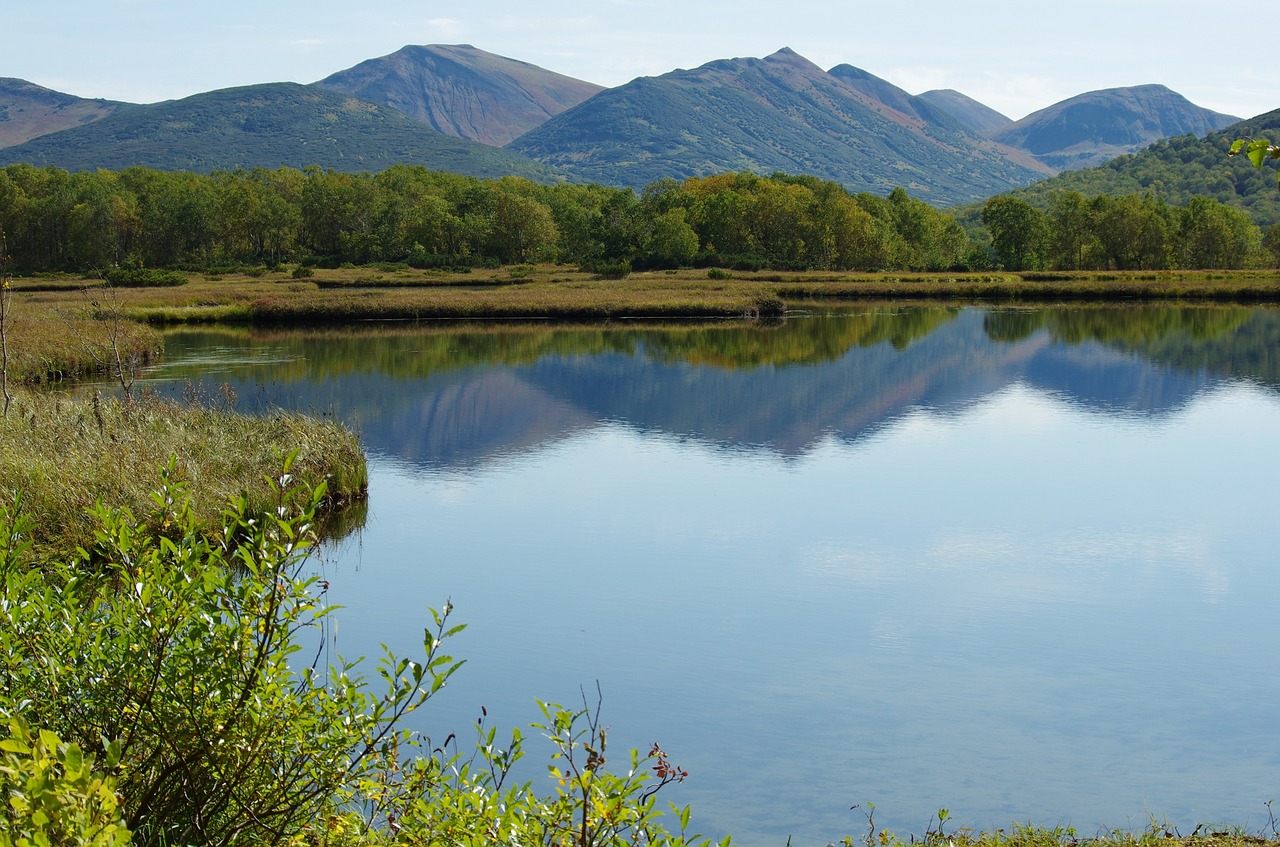 Image - lake mountains forest reflection