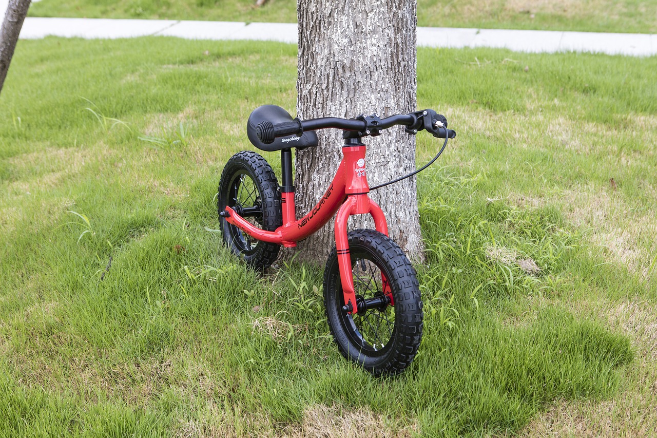 Image - stroller bike trolley