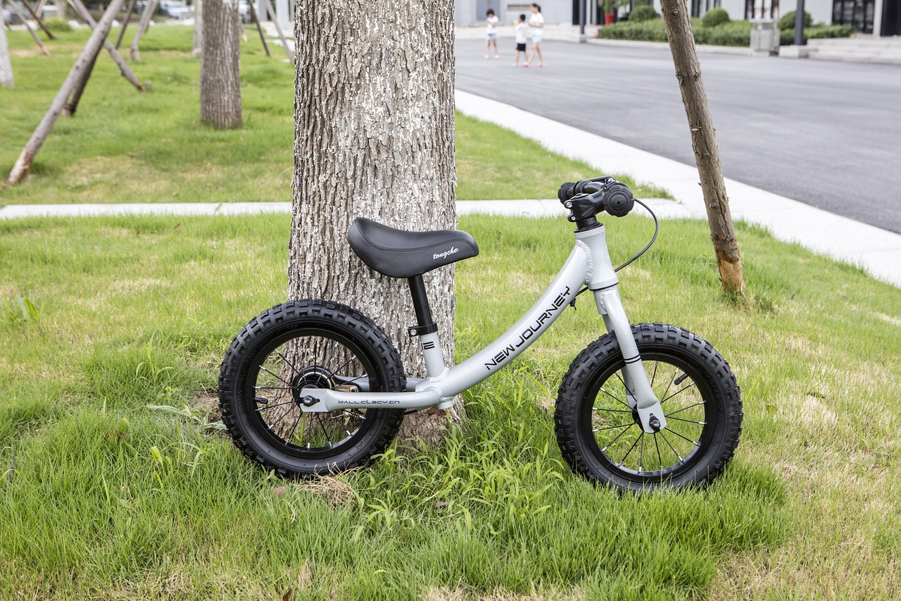 Image - stroller bike trolley