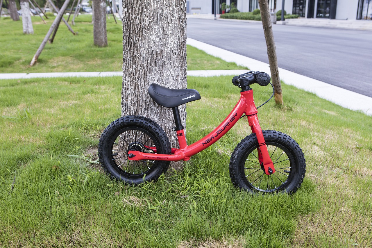 Image - stroller bike trolley