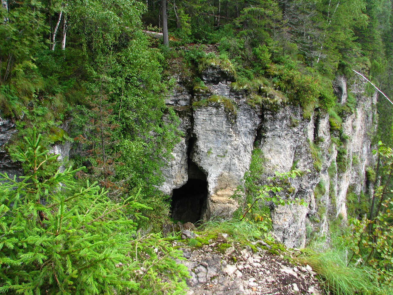 Image - rocks cave the grotto forest