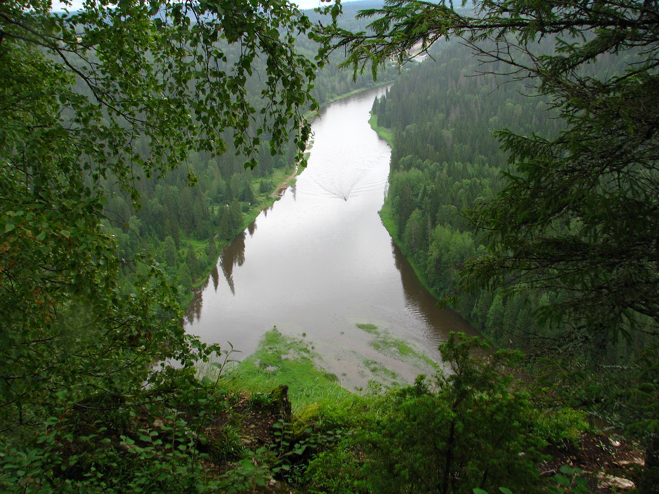 Image - the river usva boat trees forest