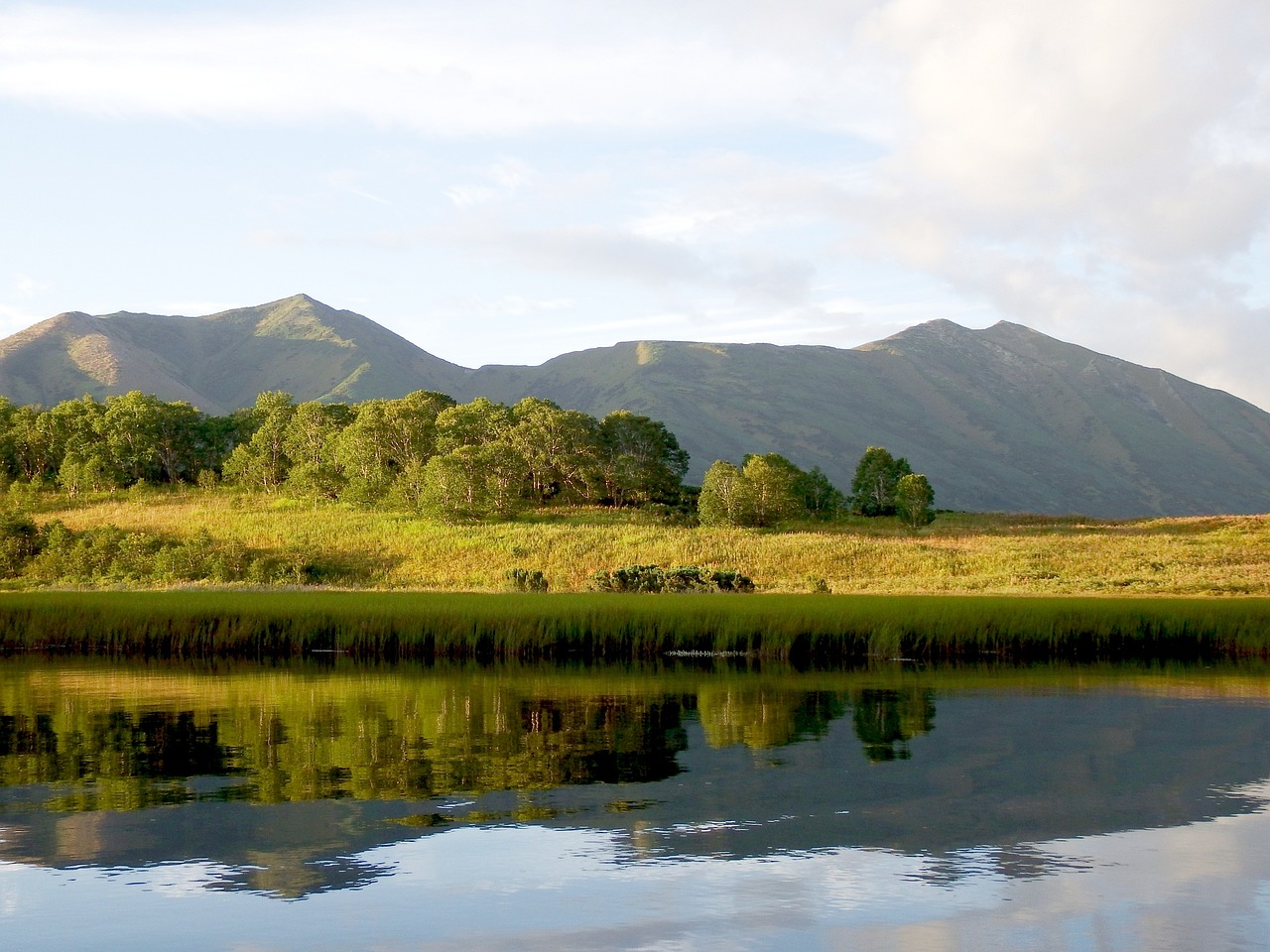 Image - lake mountains forest reflection