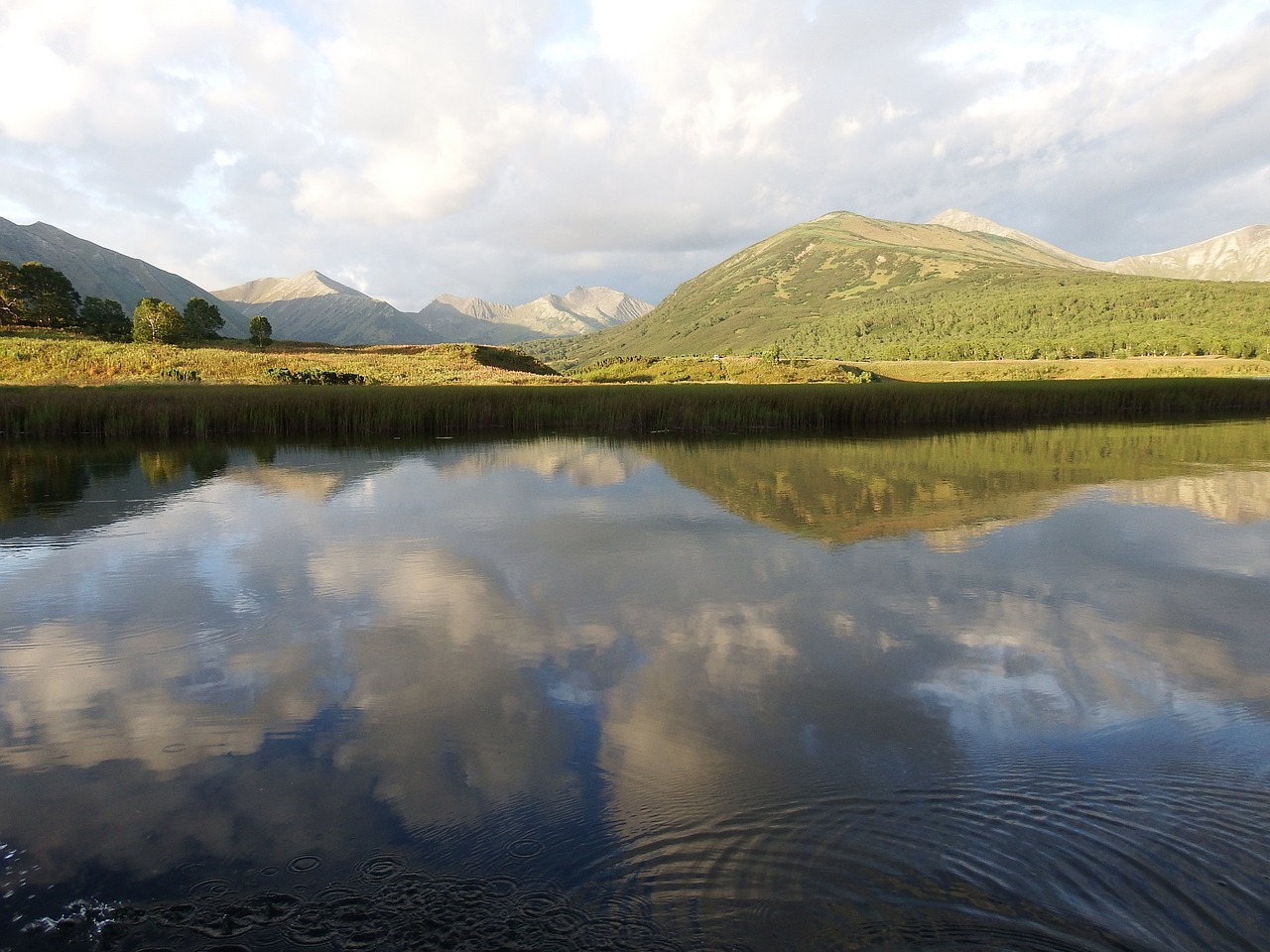 Image - lake mountains forest reflection
