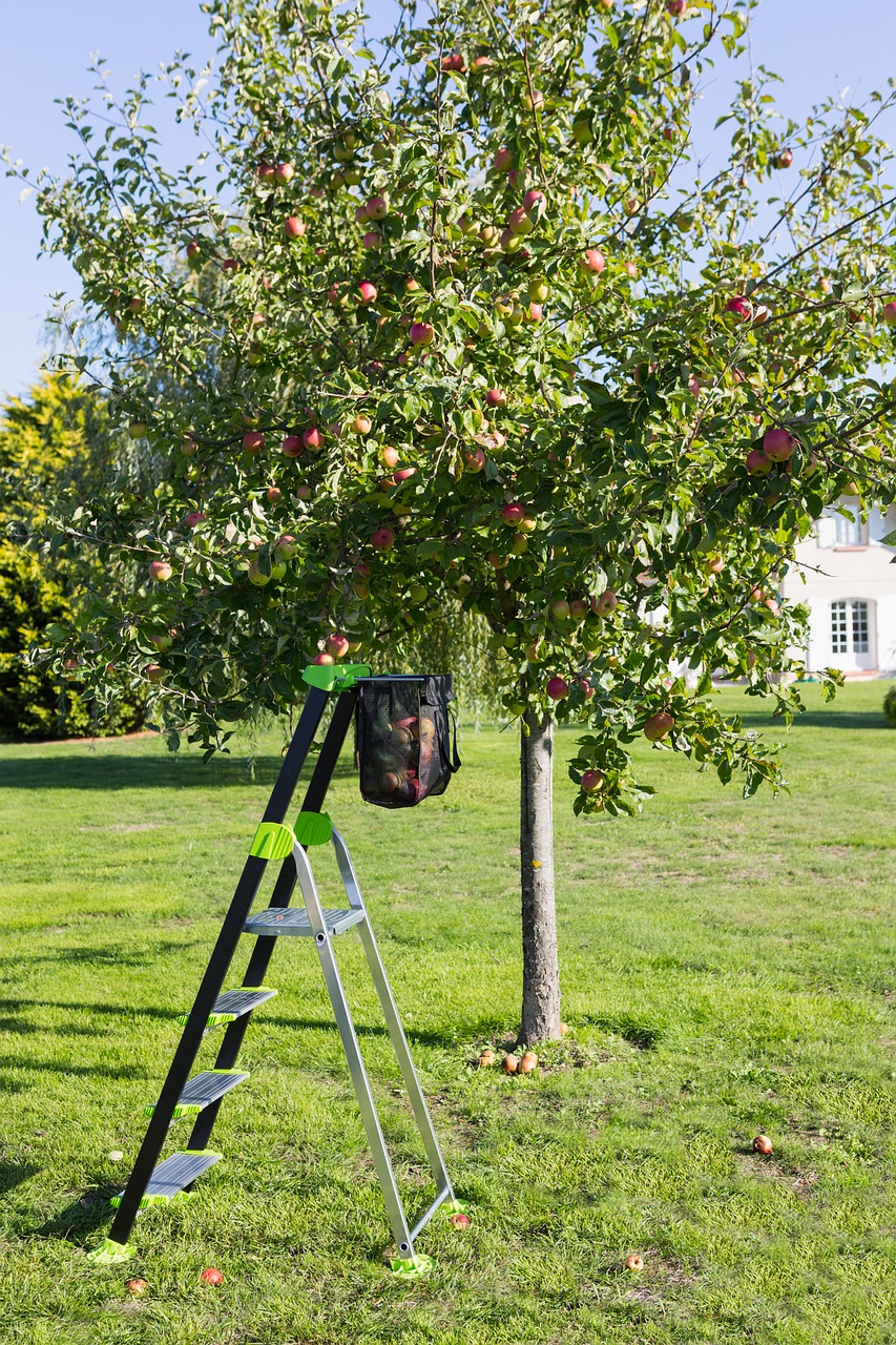 Image - stepladder footstool garden