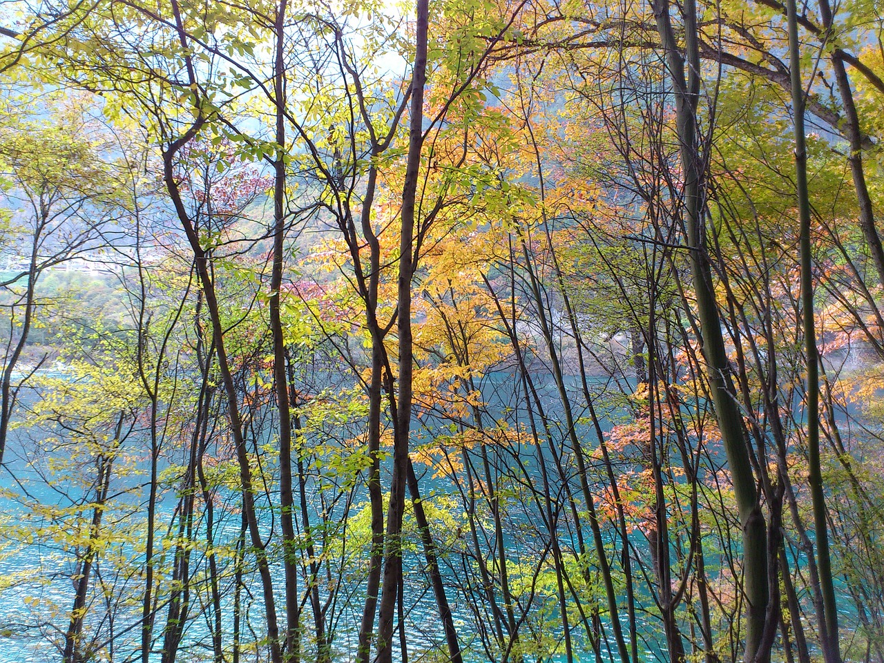 Image - jiuzhaigou sichuan color