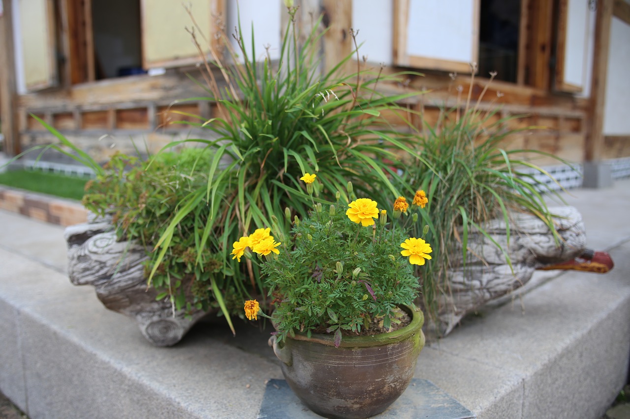 Image - bucheon hanok experience village