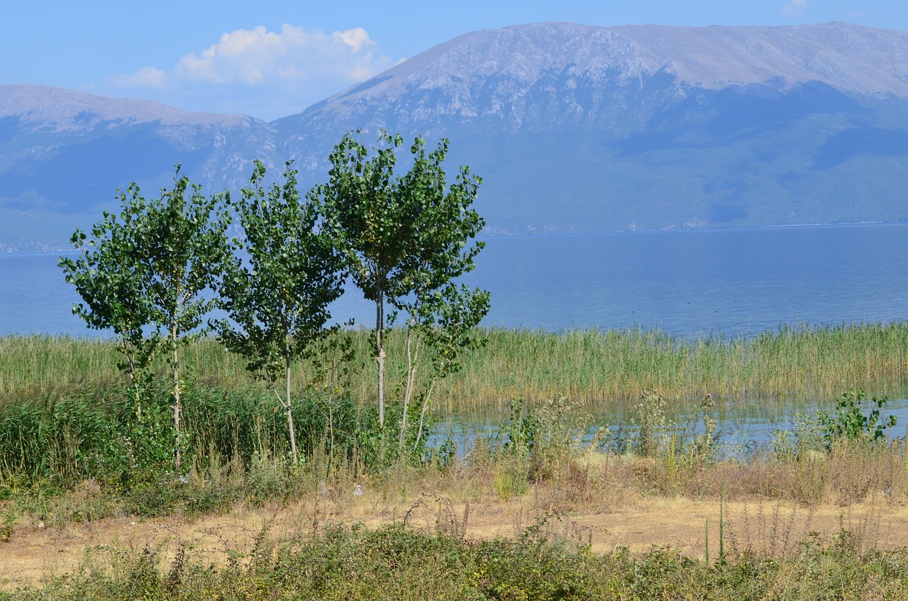 Image - the small mountain lake lake ohrid