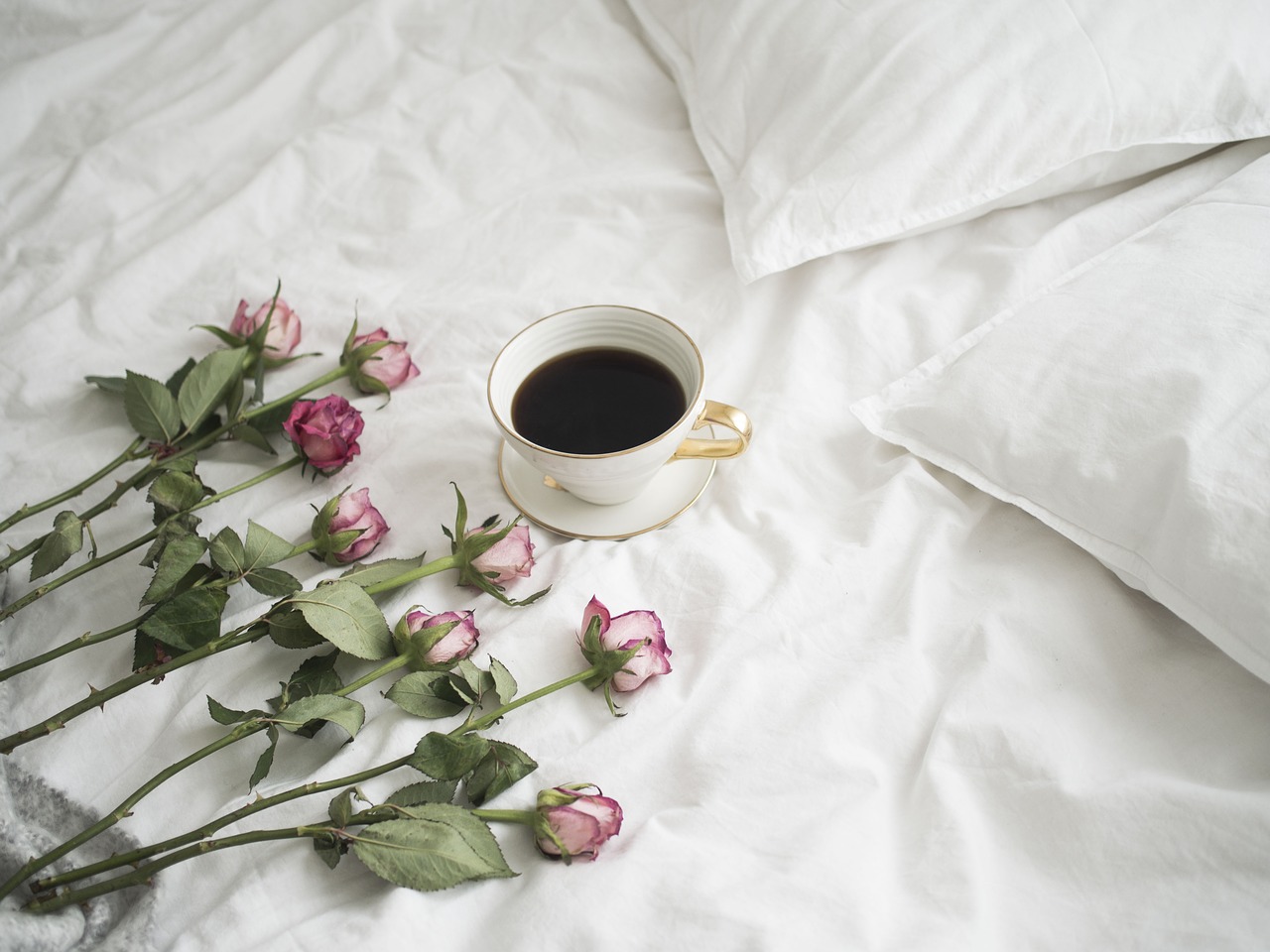 Image - roses coffee petal of a rose