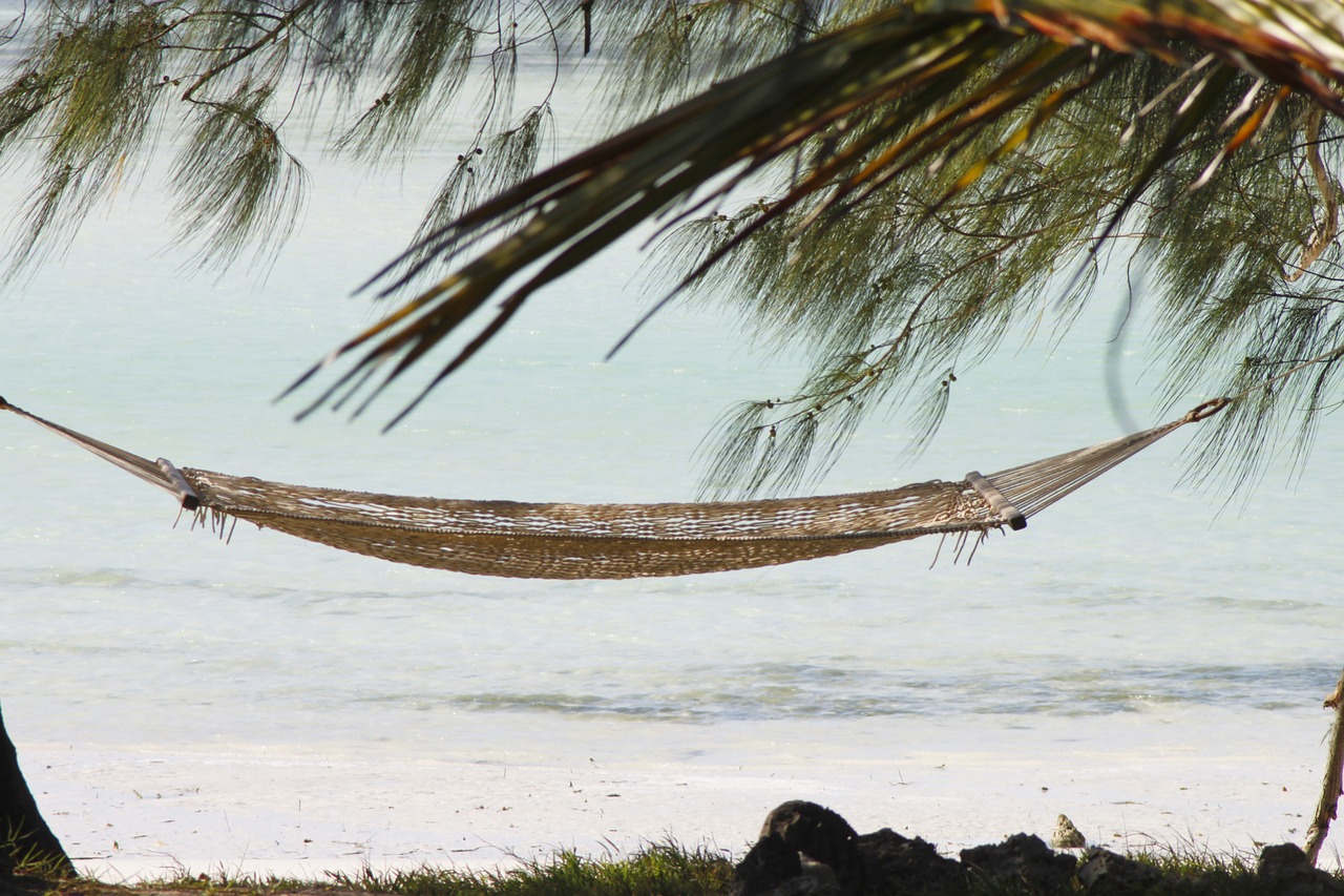 Image - hammock zanzibar holiday sand beach