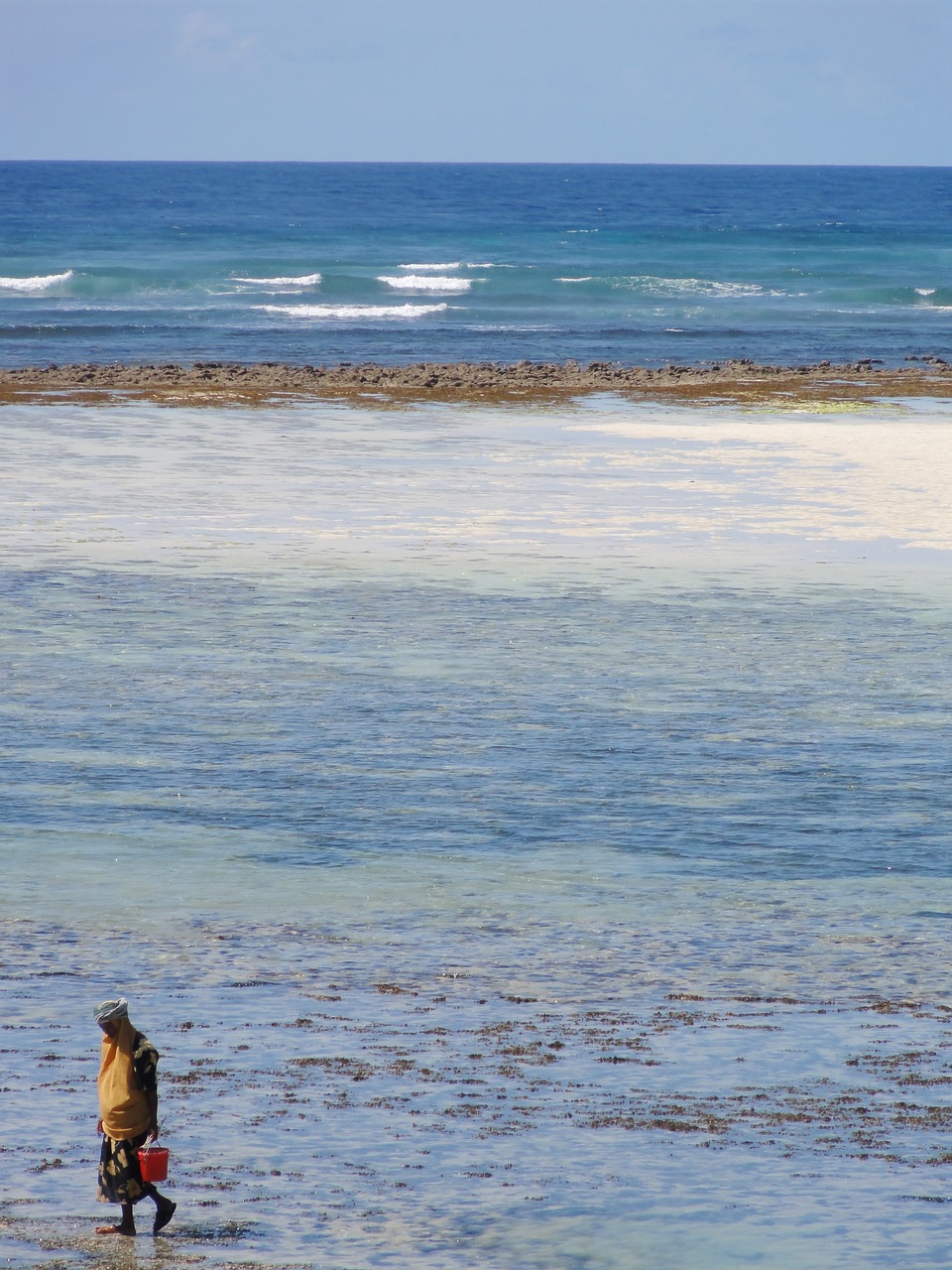 Image - tanzania collect shells water sea