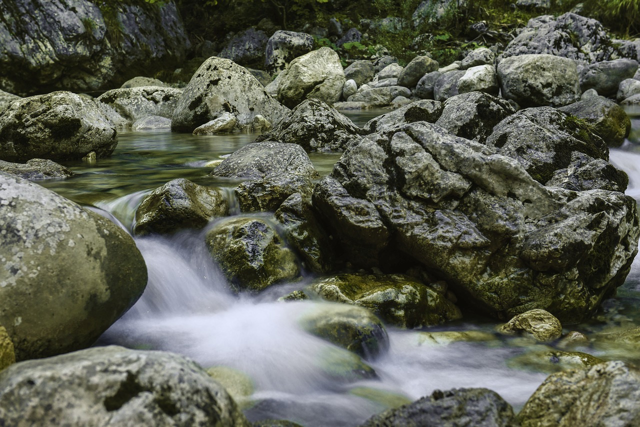 Image - water inject forest landscape