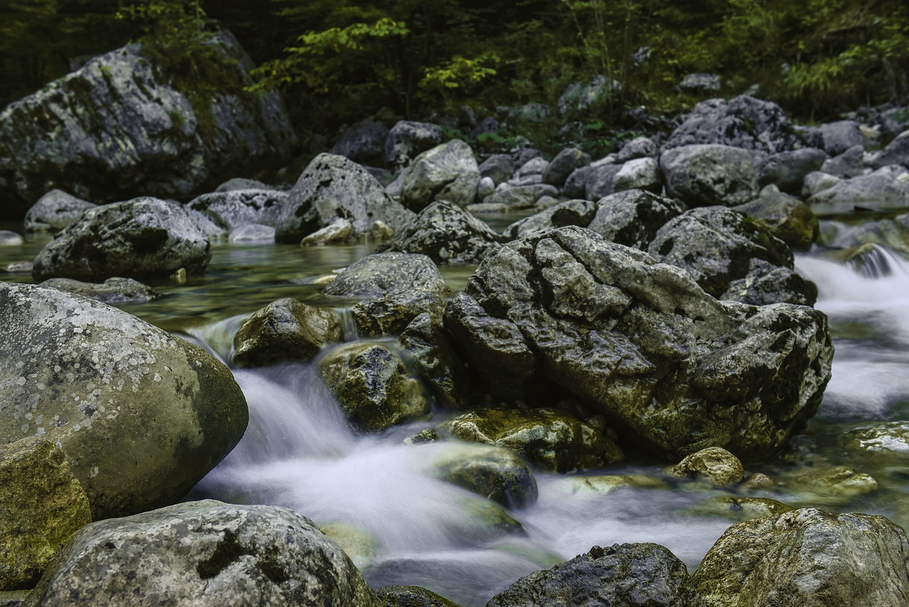 Image - water inject forest landscape