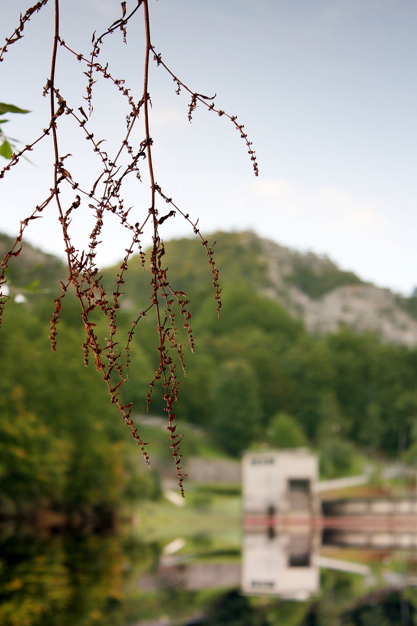 Image - nature architecture park romantic