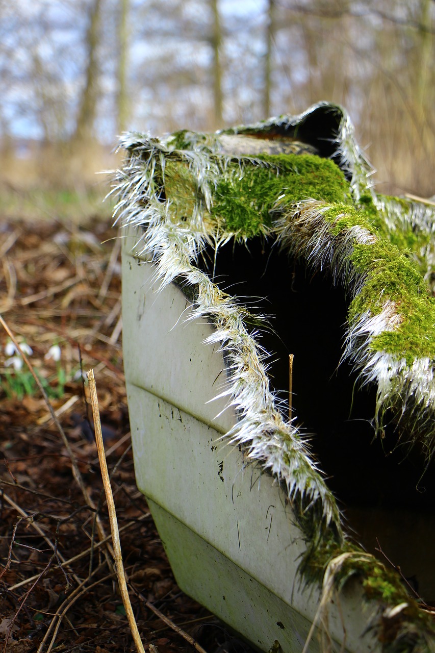 Image - moss dingy broken