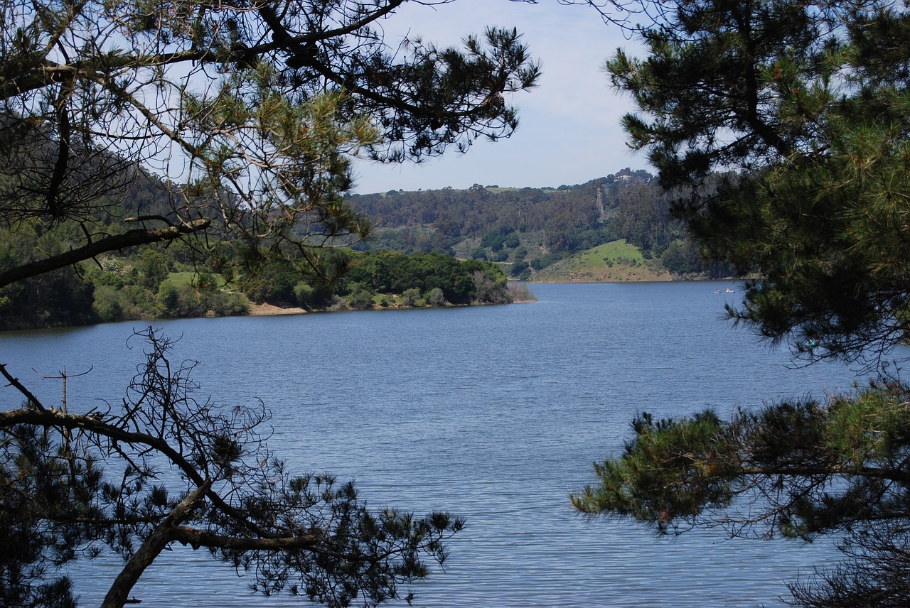 Image - lake marsh sky natural tranquil