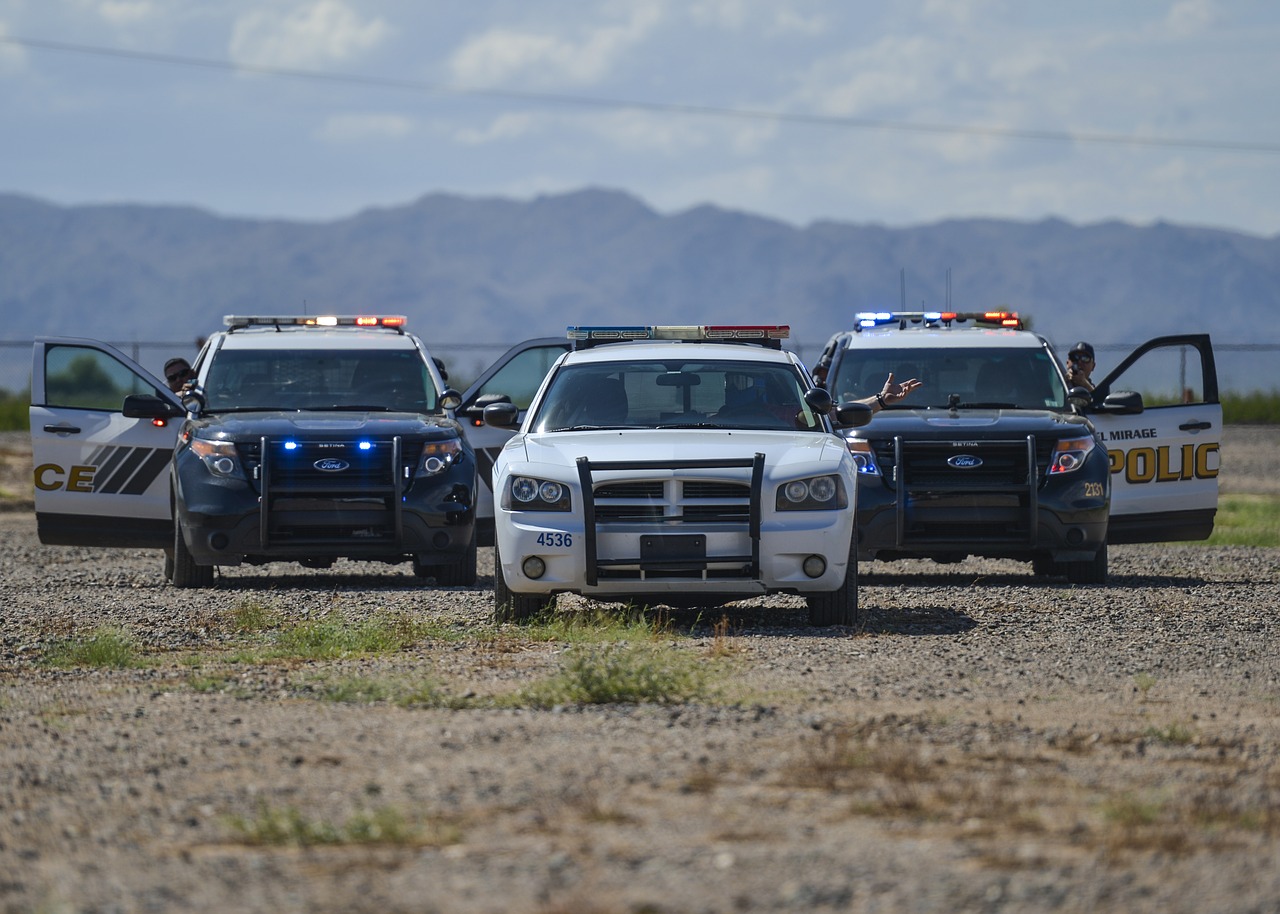 Image - police cruise vehicle transport