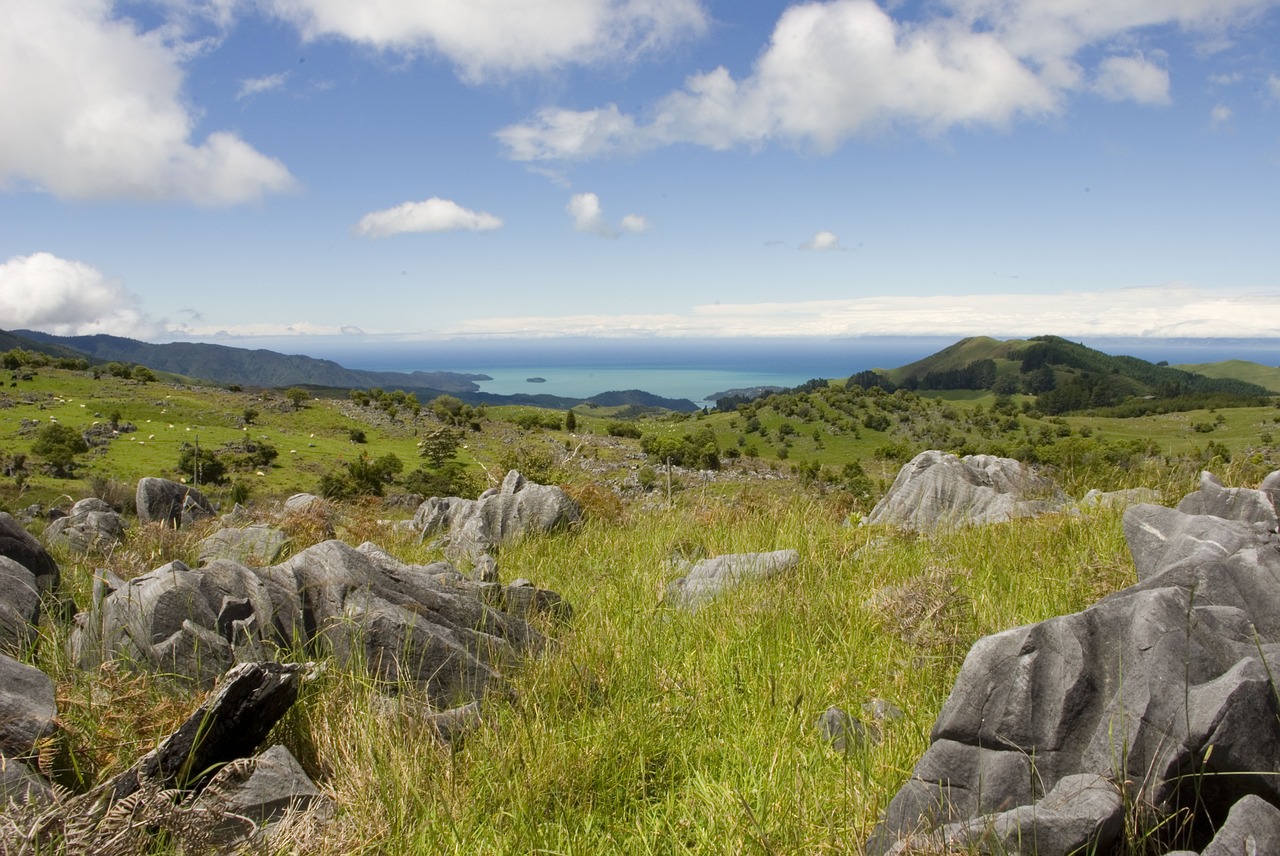 Image - new zealand the coast view