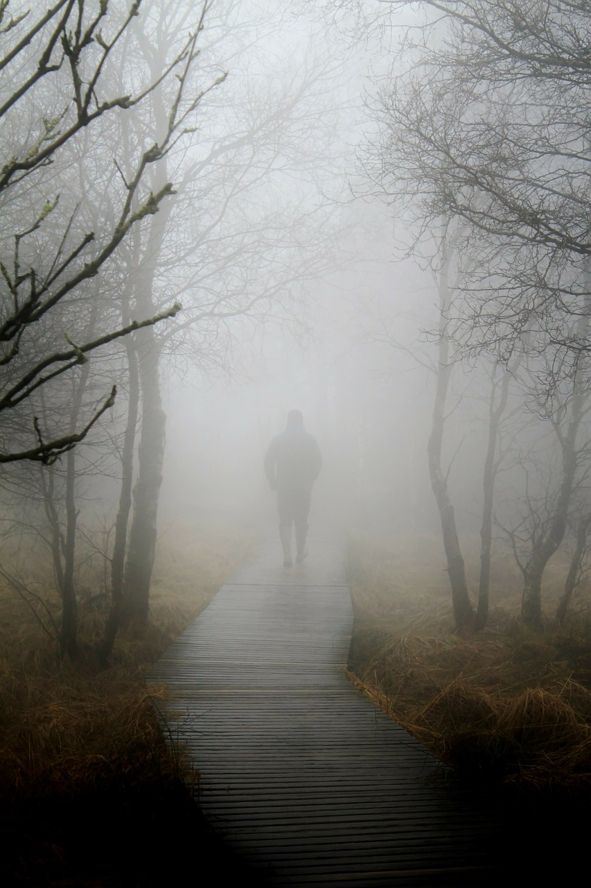 Image - fog autumn nature man human