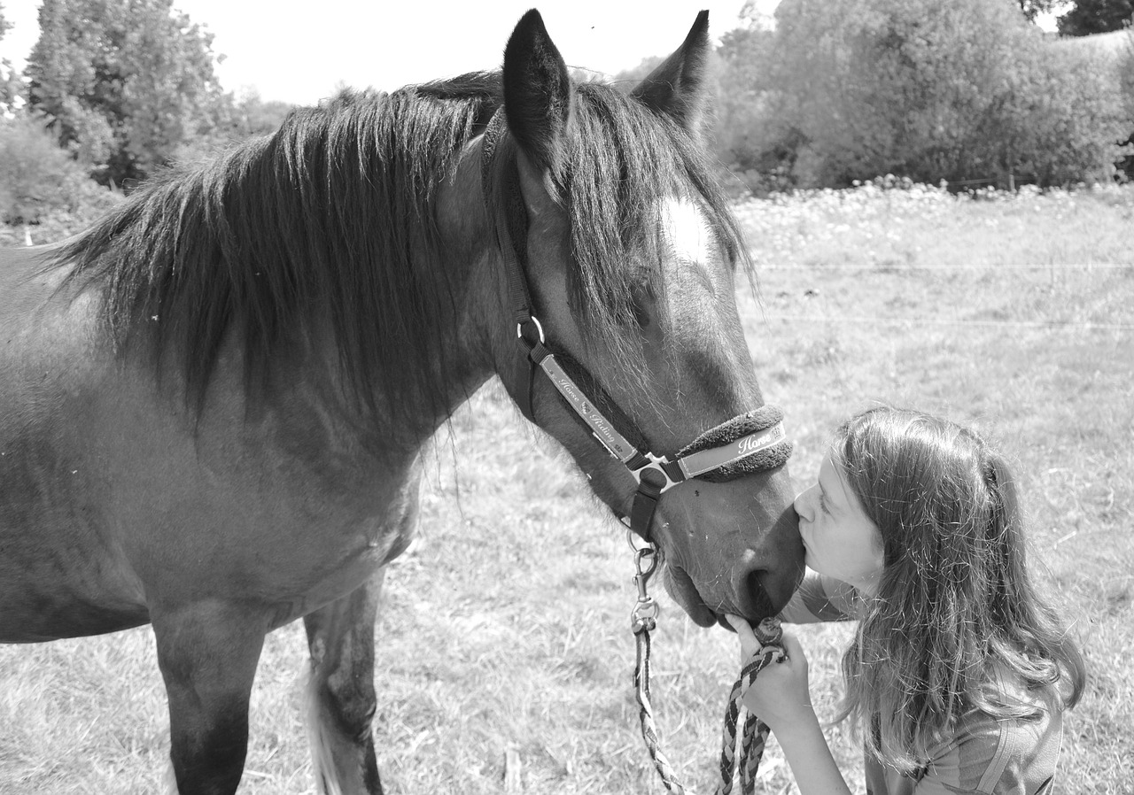 Image - kiss horse girl woman young