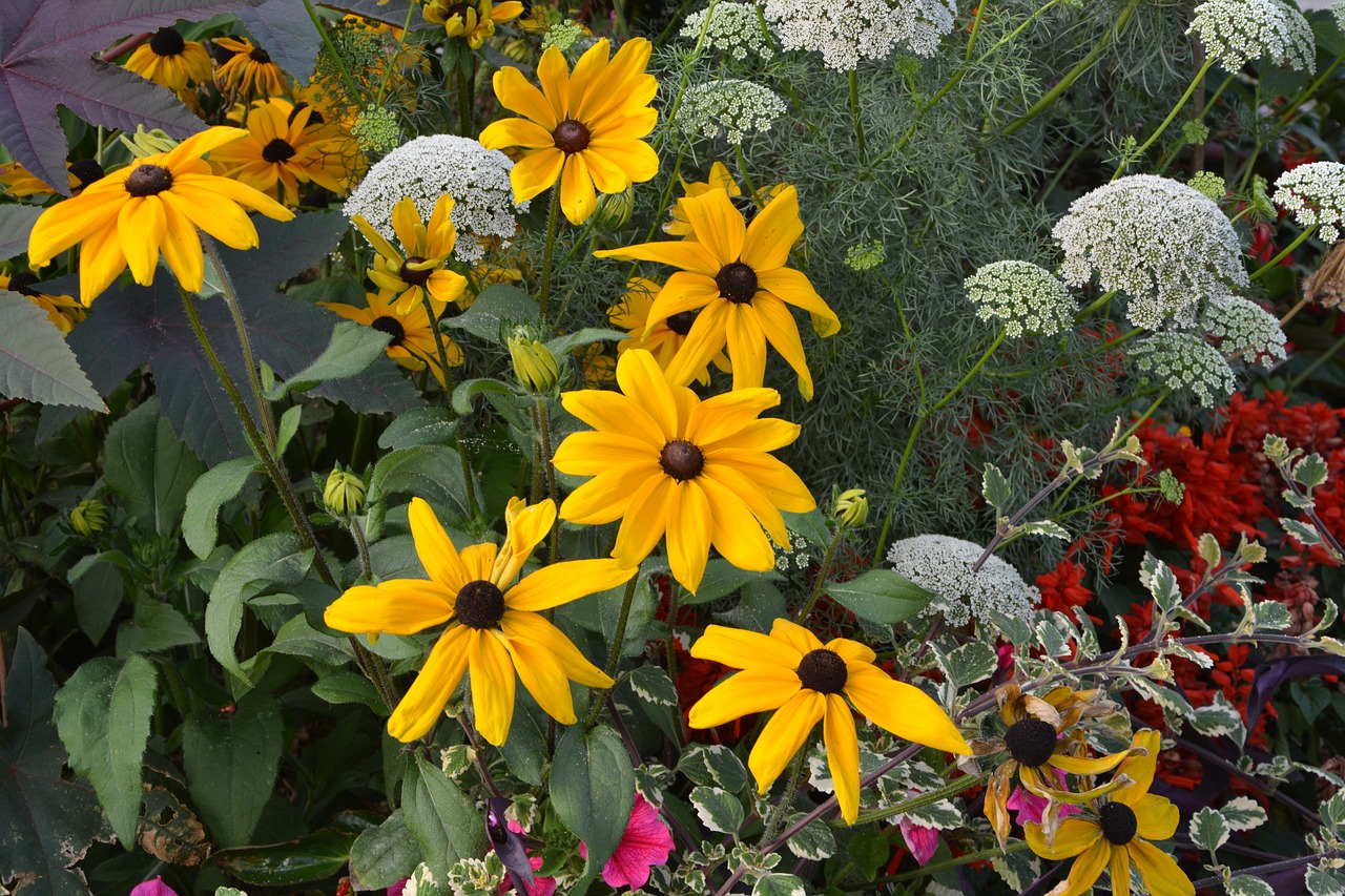 Image - flowers flowers orange yellow massif