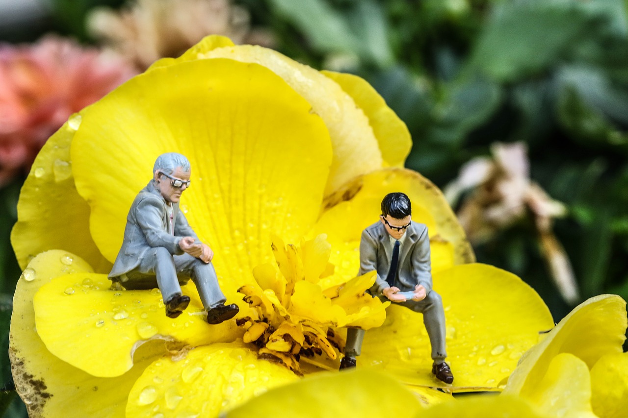 Image - yellow miniature figure flower