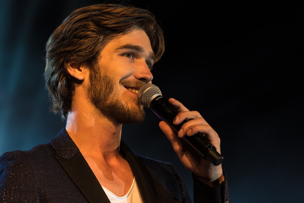 Image - amaury vassili singer concert