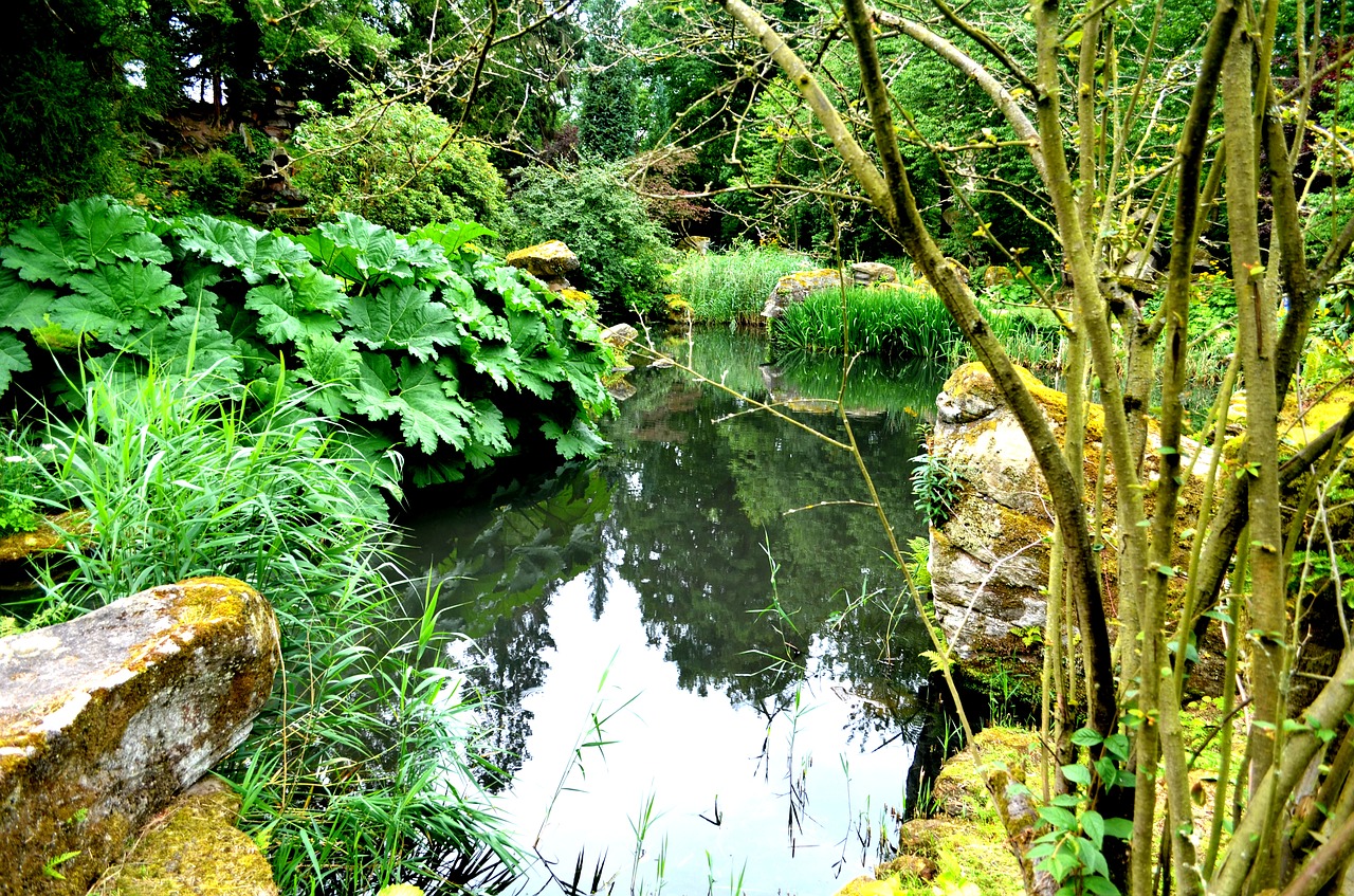 Image - chatsworth gardens plants pond