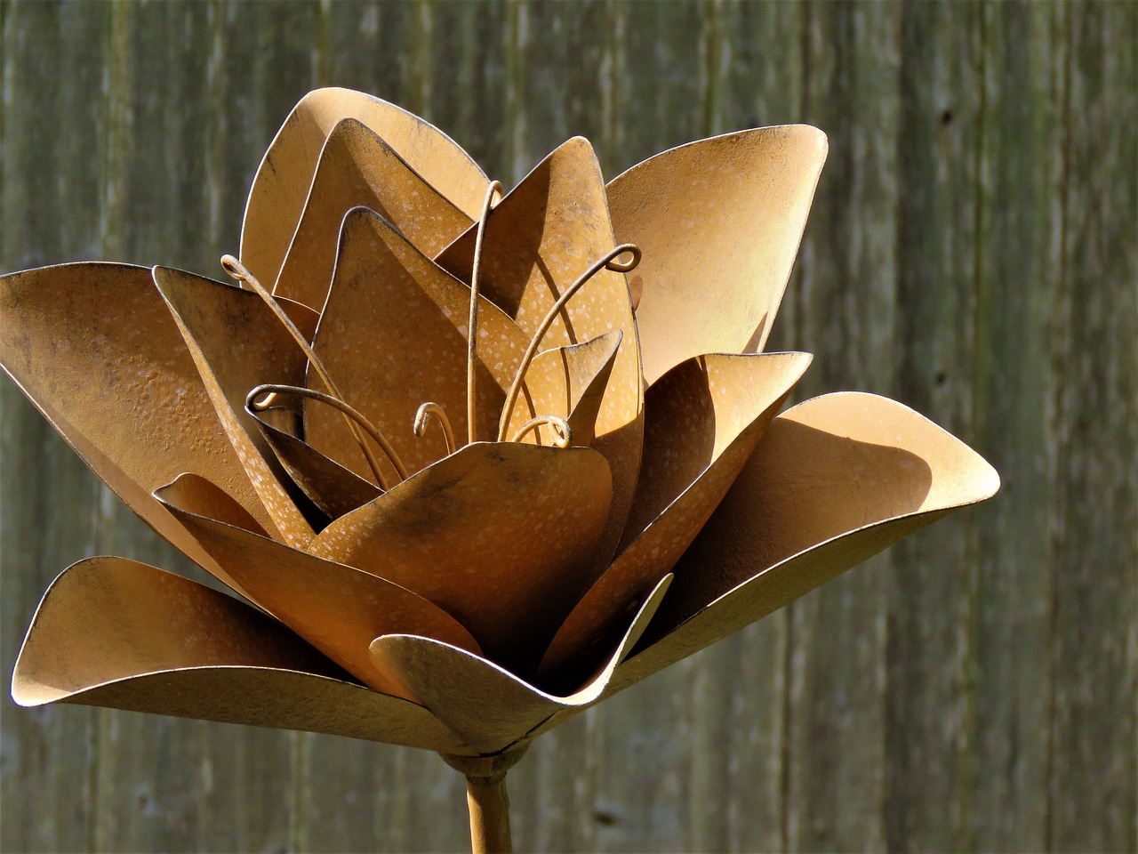 Image - flower metal massive yard art